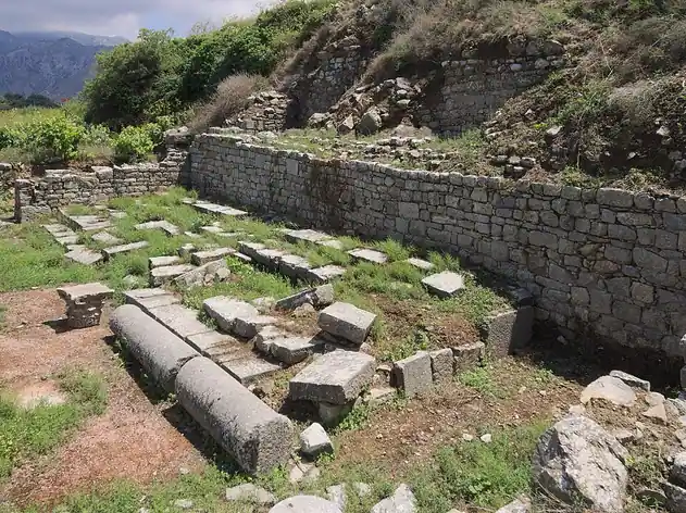 Lyctos