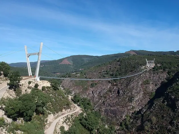 516 Arouca