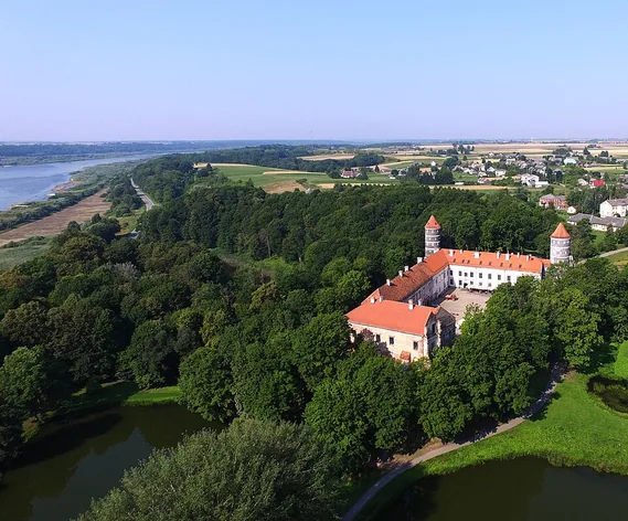 Château de Panemunė