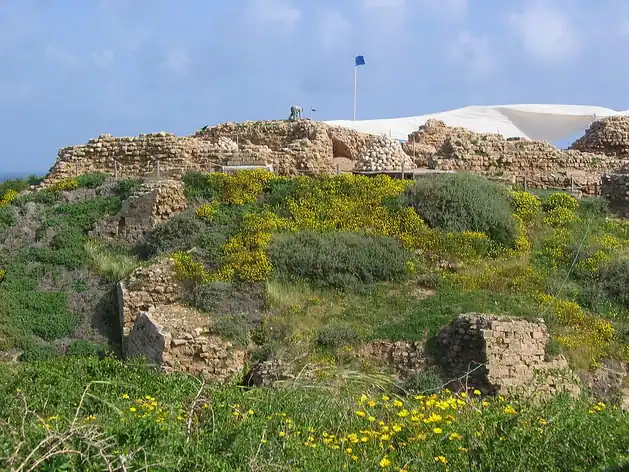Apollonie de Palestine