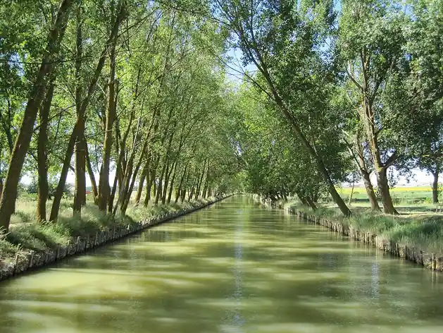Canal de Castille