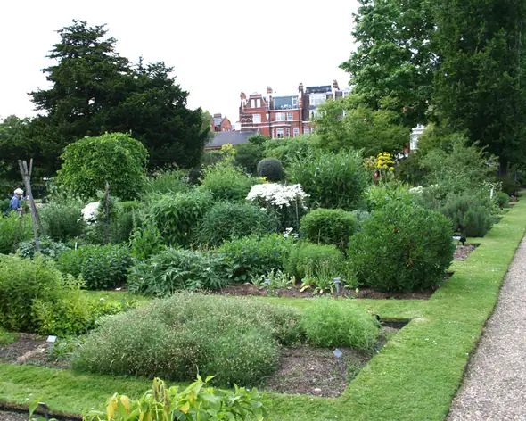 Jardin botanique de Chelsea