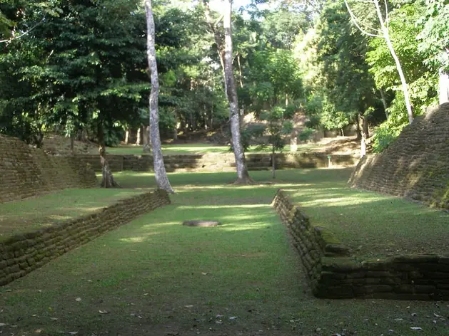 Nim Li Punit