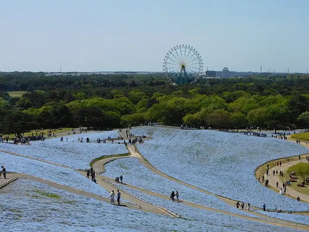 Parc en bord de mer de Hitachi