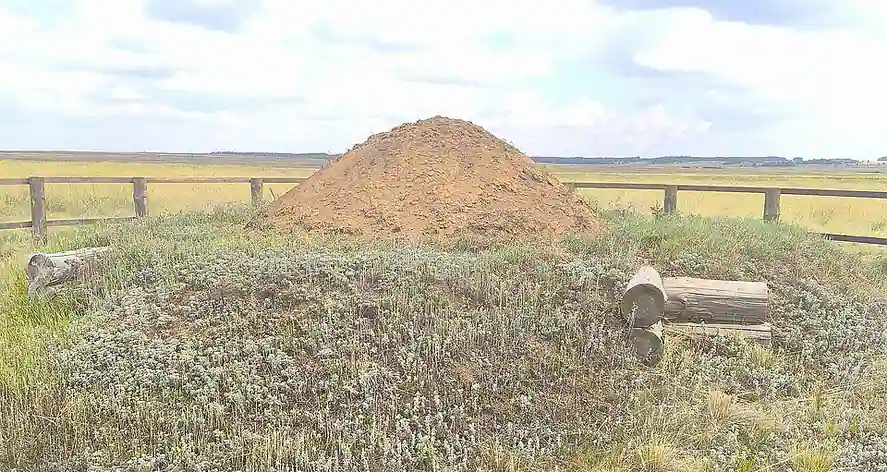 Sintachta