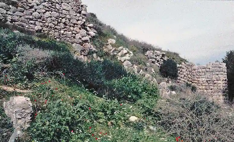 Asinè