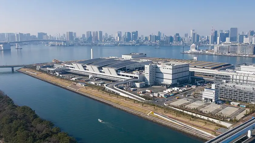 Marché aux poissons de Toyosu