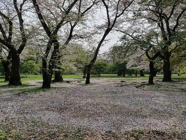 Parc Yoyogi
