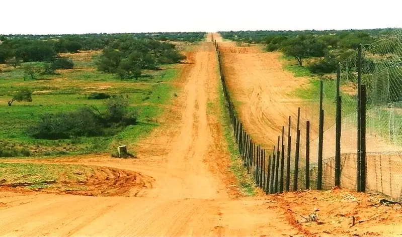 Barrière à dingos