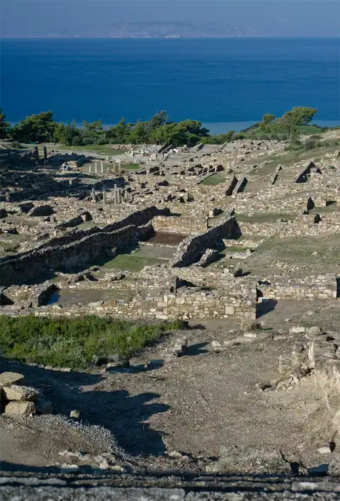 Camiros