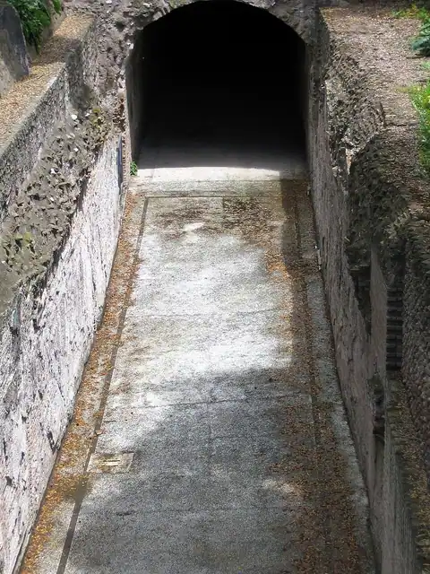 Domus transitoria