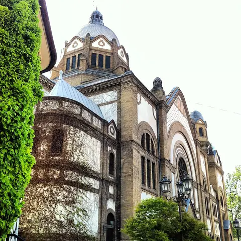 Synagogue de Novi Sad