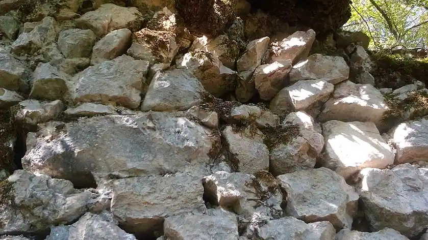 Borač Castle