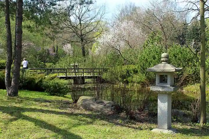 Jardin japonais à Moscou