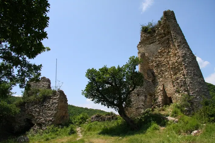 Ujarma Fortress