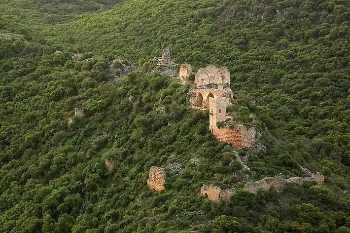 Montfort