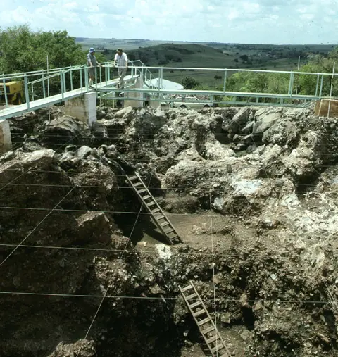 Sterkfontein