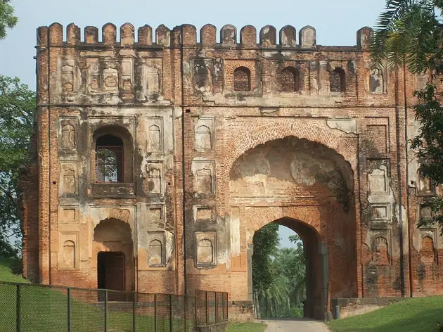 Gaur