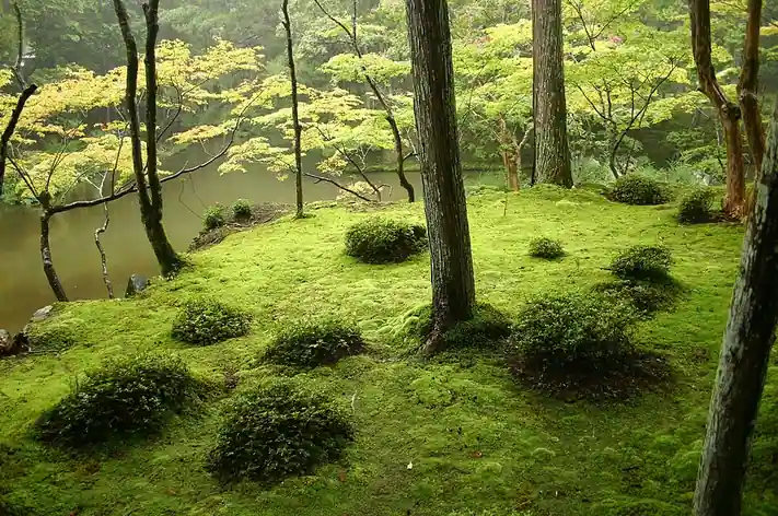 Temple Saihō