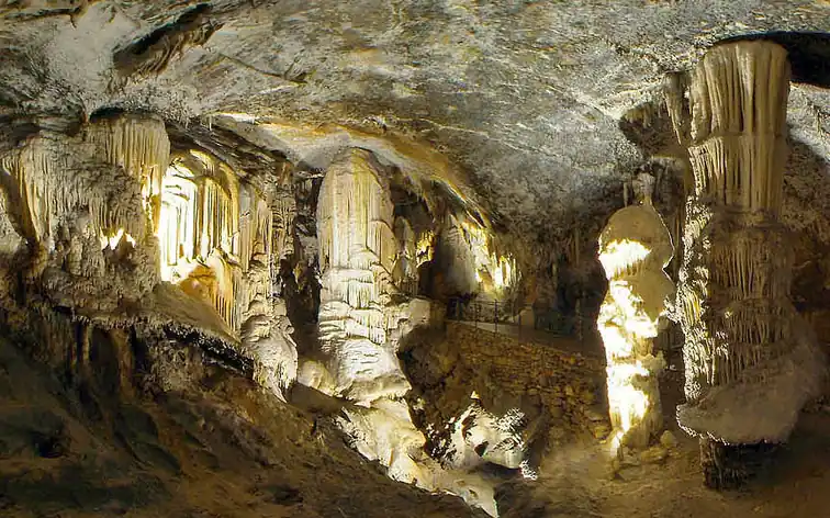 Grotte de Postojna