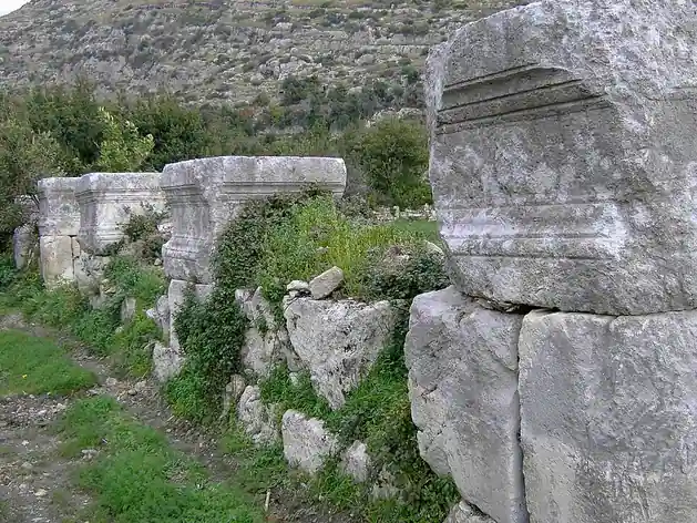 Séleucie de Piérie
