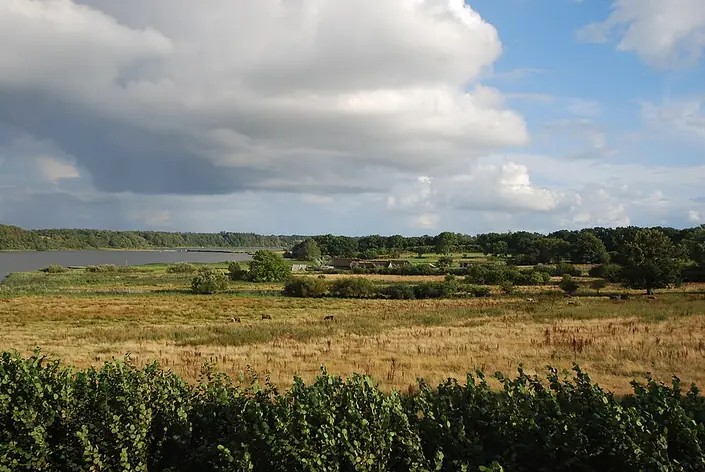 Hedeby