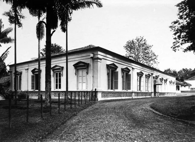 Muséum de zoologie de Bogor