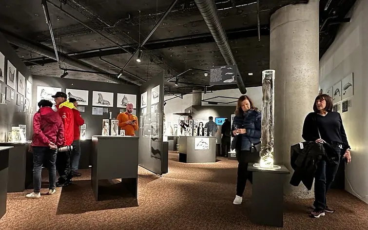 Musée phallologique islandais