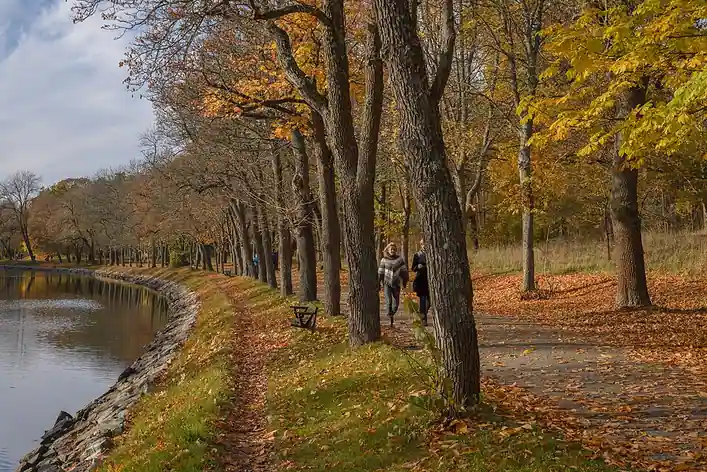 Parc national urbain royal