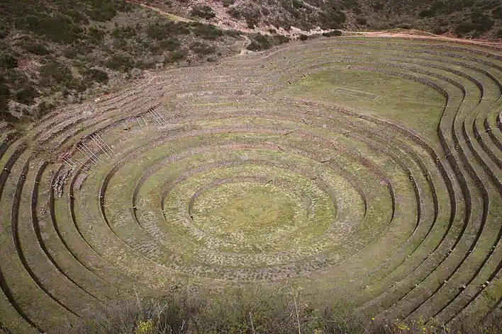 Moray