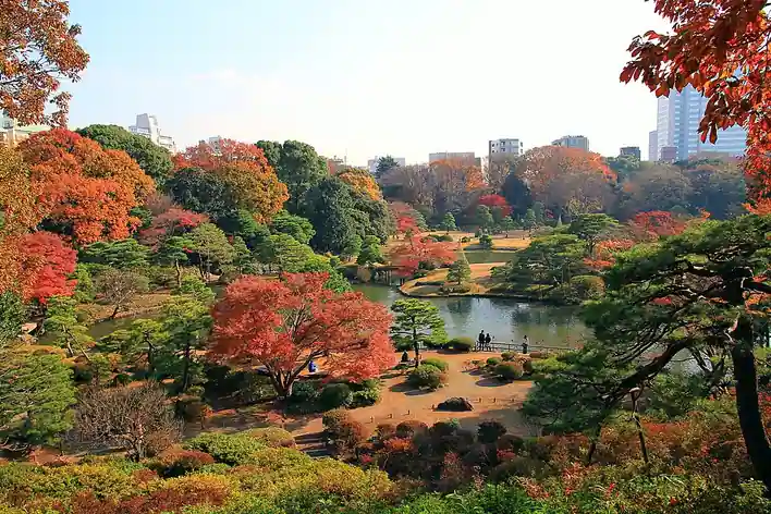 Jardin Rikugi