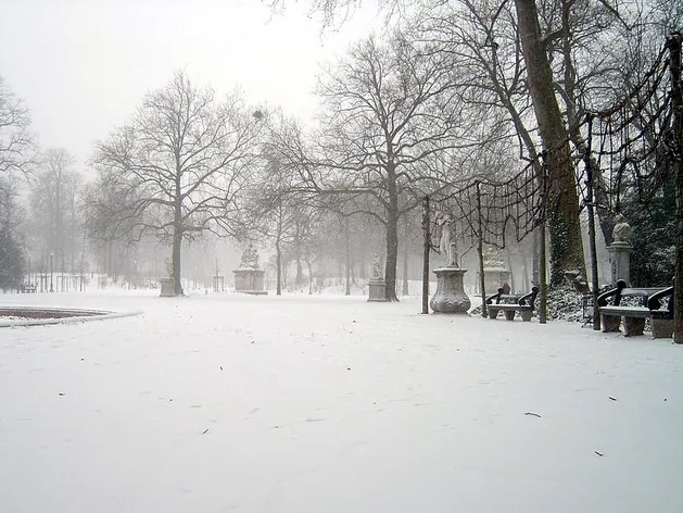 Parc de Bruxelles