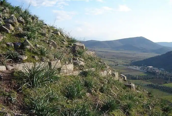 Atarnée
