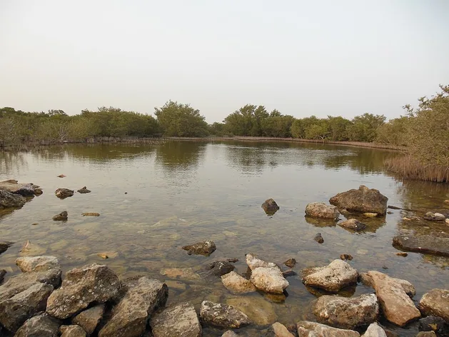 Al Khor Islands