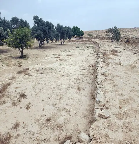 Shivta