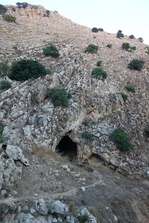Qafzeh