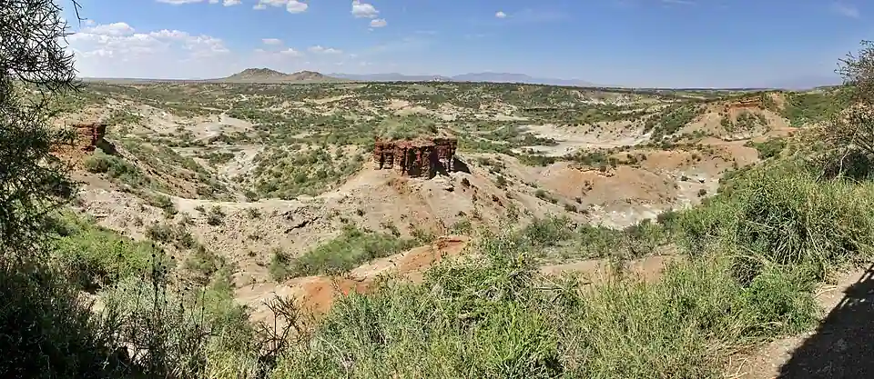 Gorges d'Olduvai