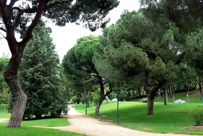 Parc de l'Ouest