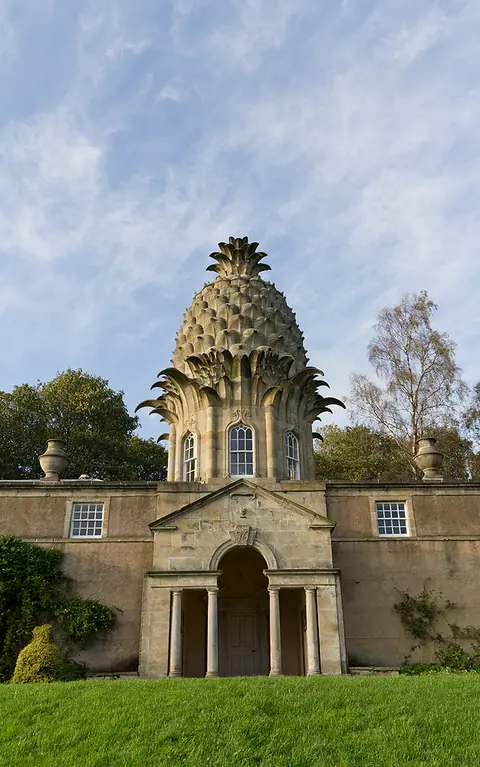 Dunmore Pineapple