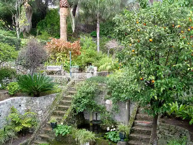 Jardins botaniques de Gibraltar