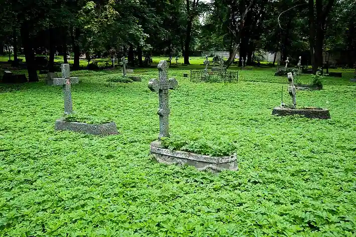 Cimetière de Novodevitchi