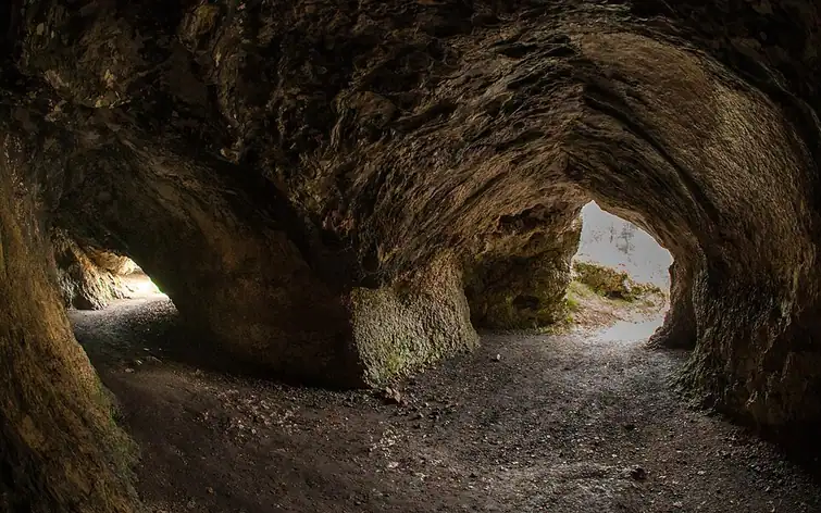 Grotte de Vogelherd