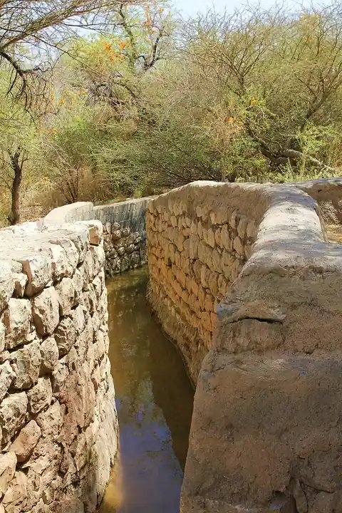 Systèmes d'irrigation aflaj d'Oman