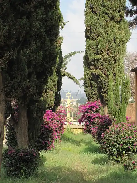 Synagogue d'Asmara