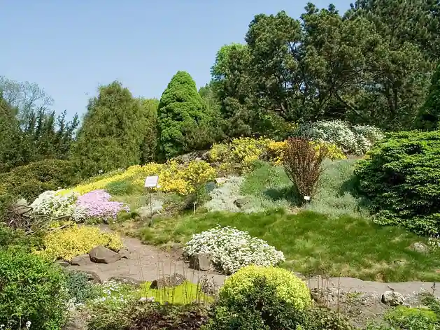 Jardin botanique de l'université Jagellonne