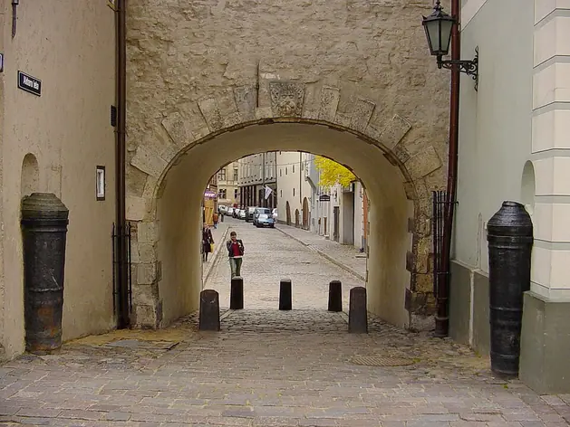Swedish Gate