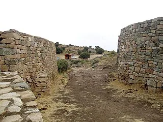 Cogotas