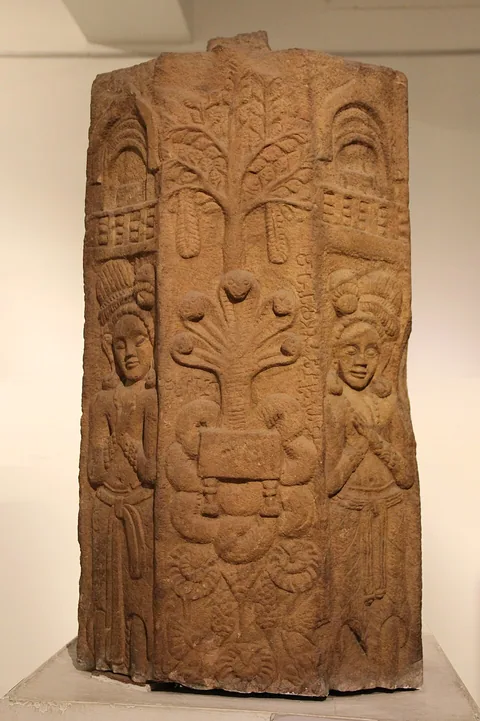 Pauni
