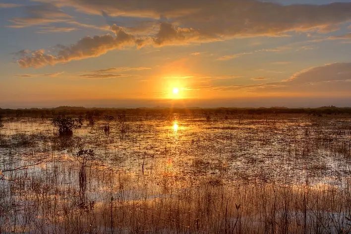 Parc national des Everglades