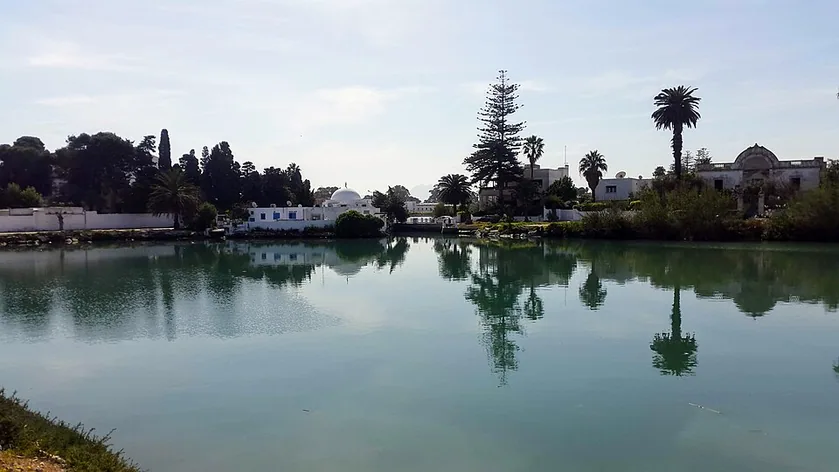 Ports puniques de Carthage